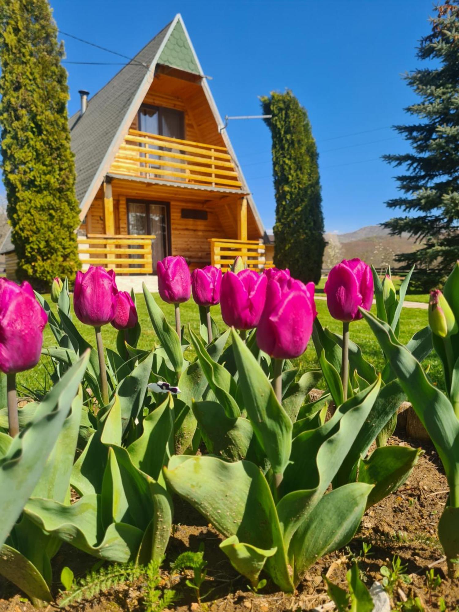 Chalet Velebitska Kuca Velika Plana Zewnętrze zdjęcie