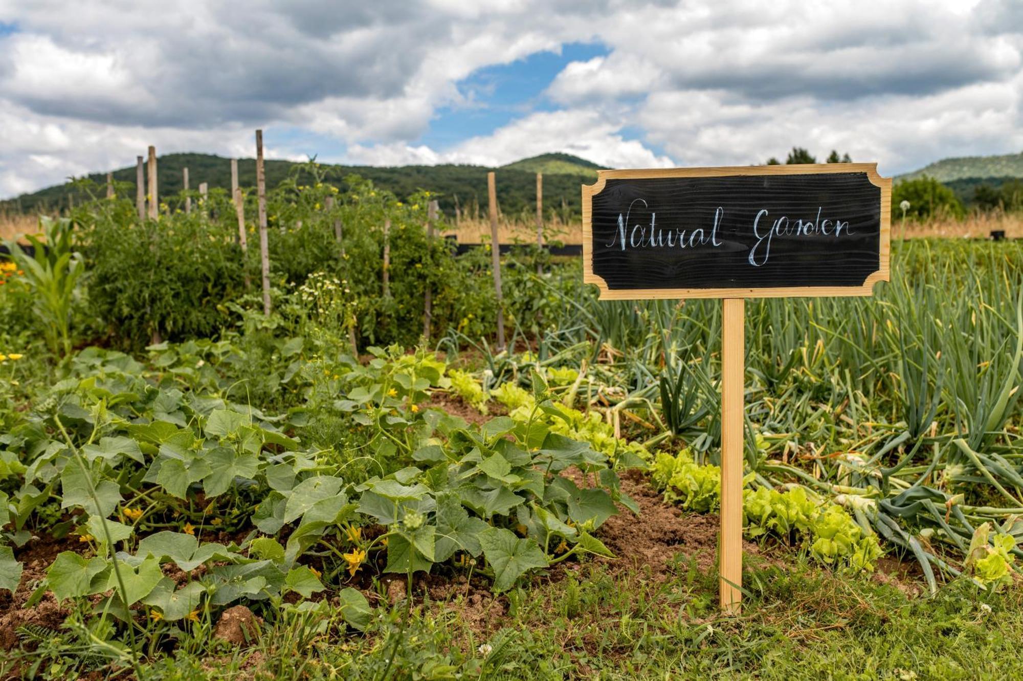 Chalet Velebitska Kuca Velika Plana Zewnętrze zdjęcie