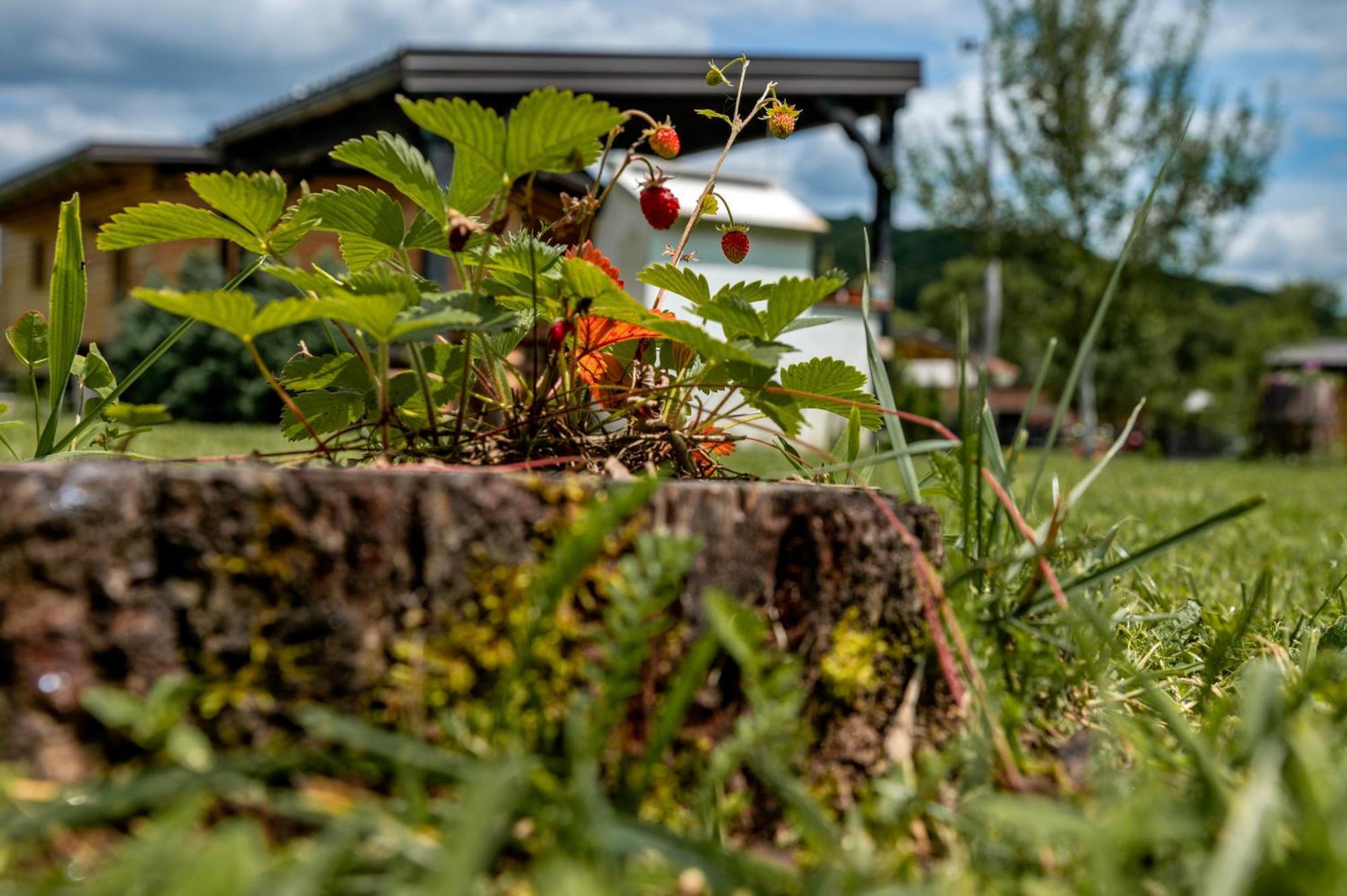 Chalet Velebitska Kuca Velika Plana Zewnętrze zdjęcie
