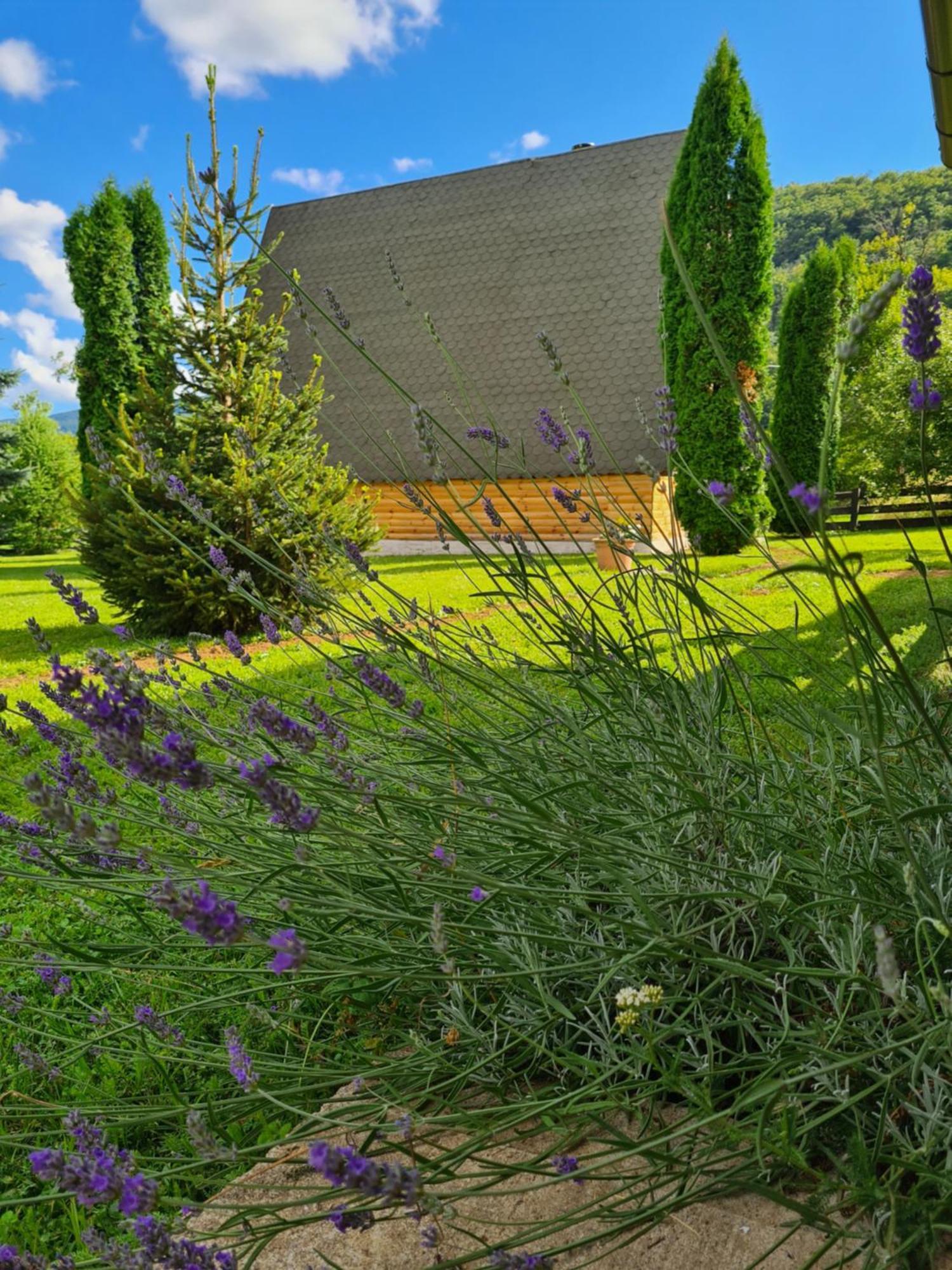 Chalet Velebitska Kuca Velika Plana Zewnętrze zdjęcie